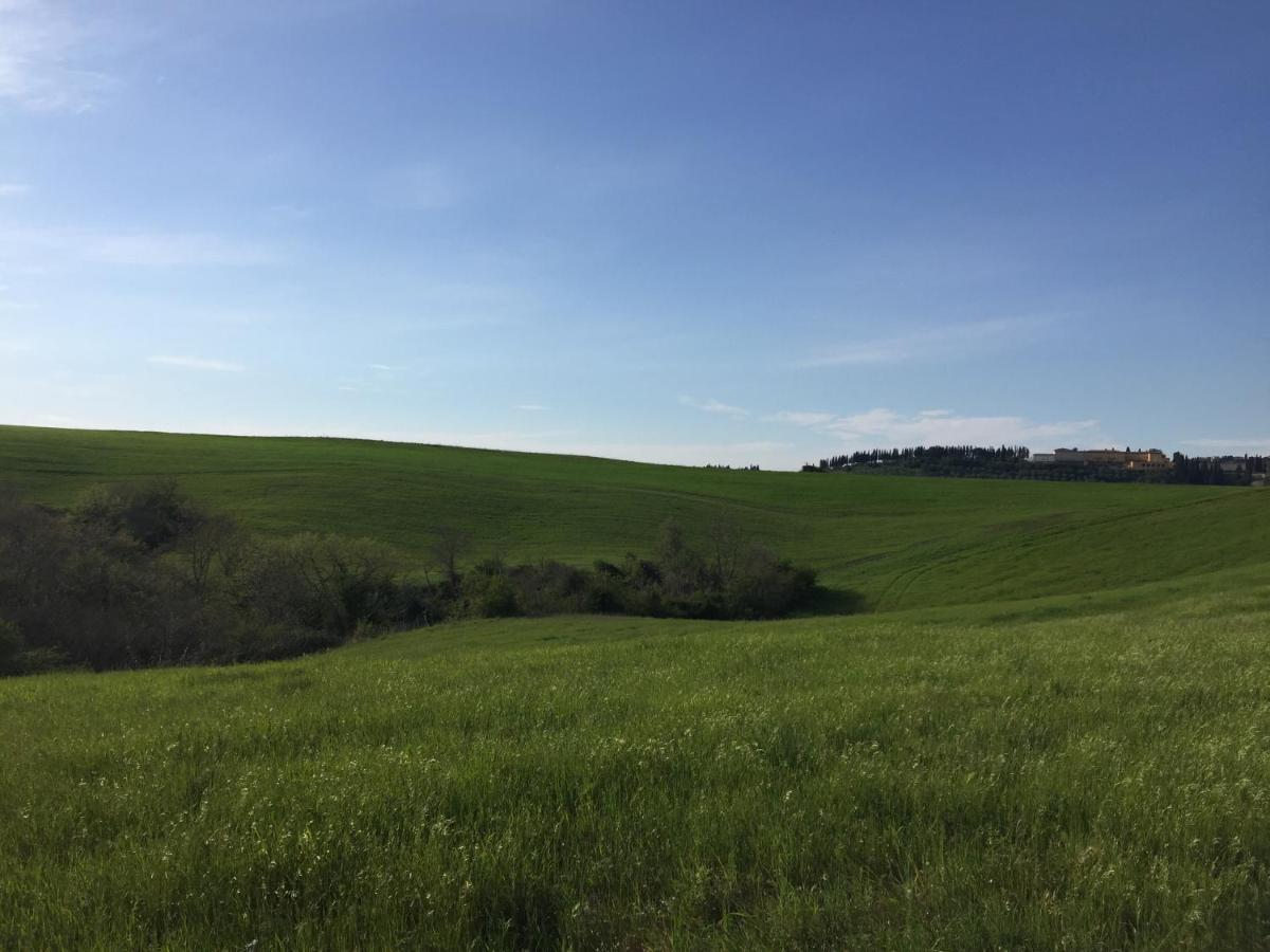 Agriturismo San Leone โวลแตร์รา ภายนอก รูปภาพ